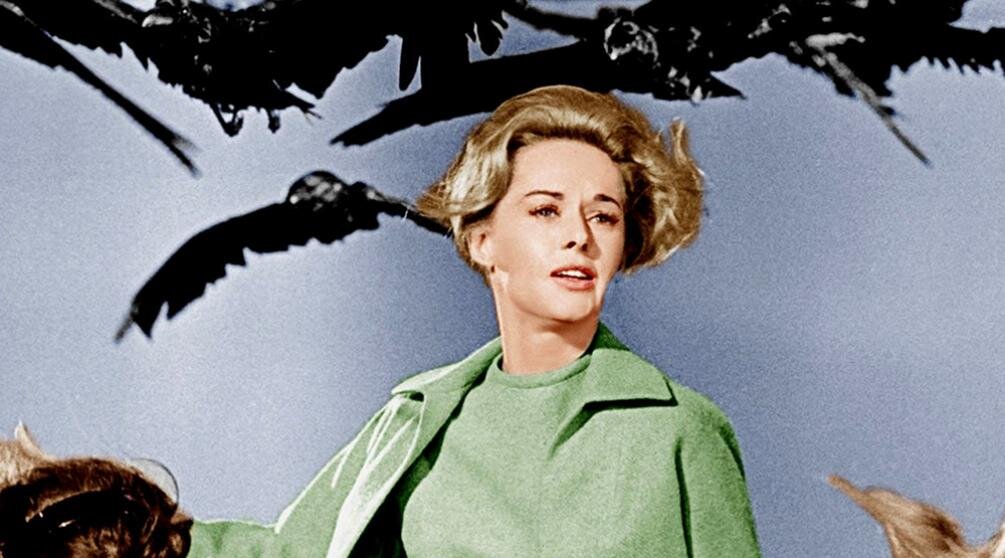 Кадр из фильма "Птицы"