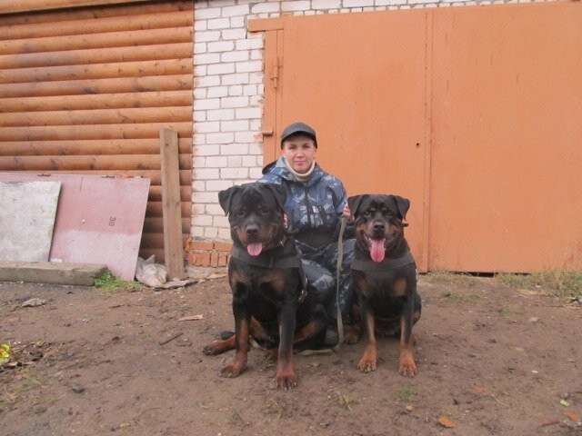 На фото - Чакки с заводчиком и мамой Андоррой.