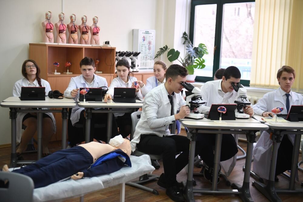 Детям на уроках начинают поздно рассказывать об иммунитете и делают это недостаточно хорошо