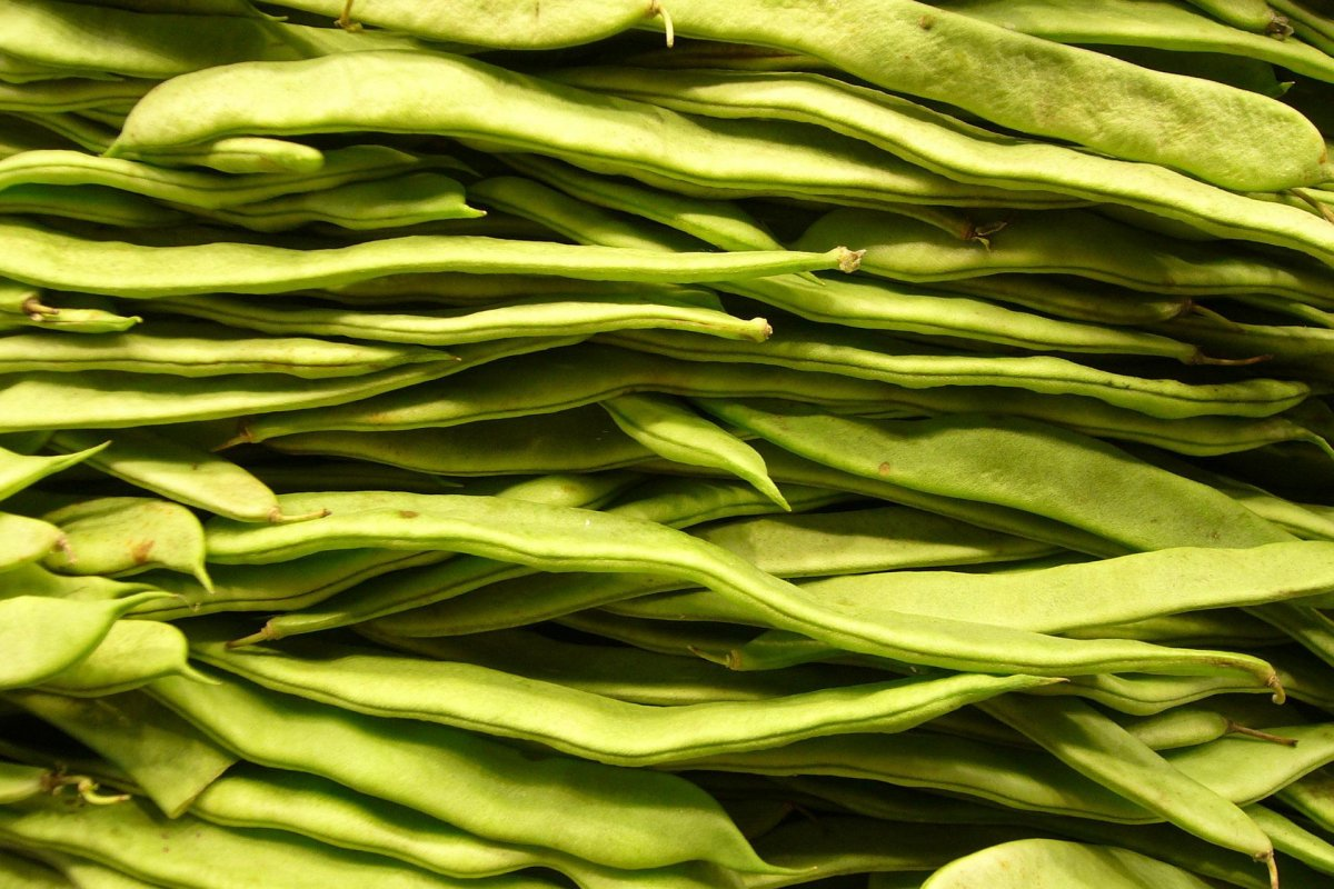 Фото взято из открытых источников