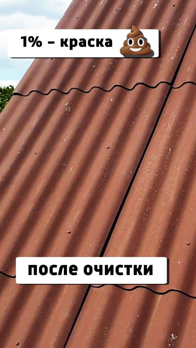 Перемыли крышу. Краска посветлела, но на 90% поверхности держалась.