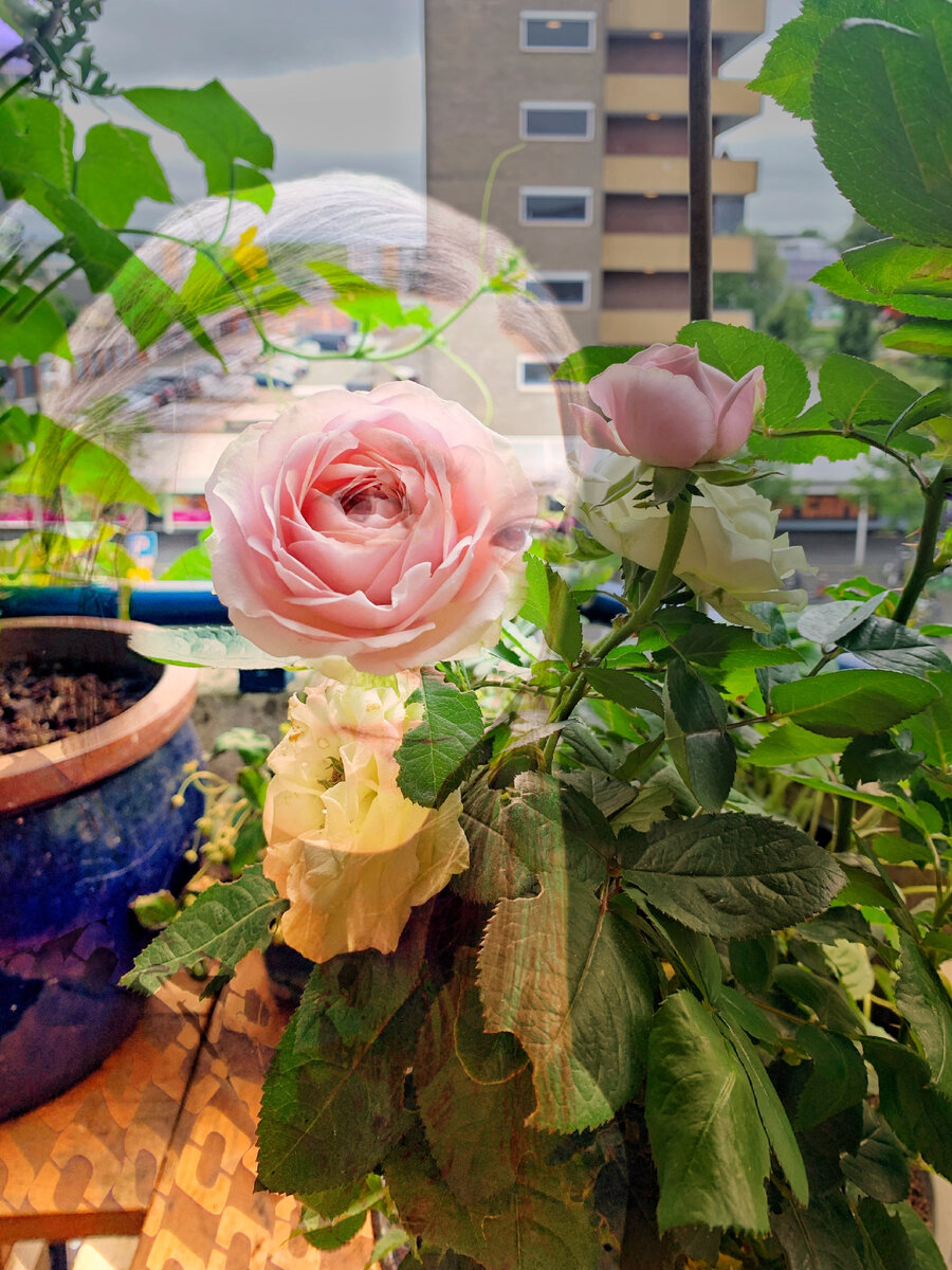 Тот самый балкон