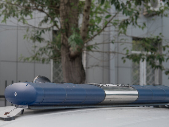   Дмитрий Каторжнов