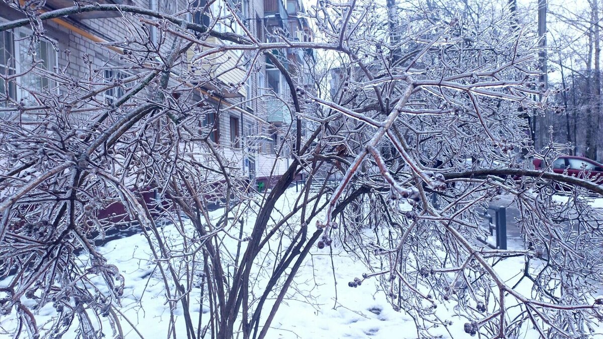 фото ледяной дождь в москве 2010