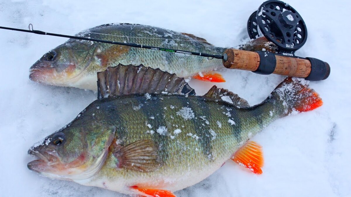 Рыболовные зимние снасти своими руками