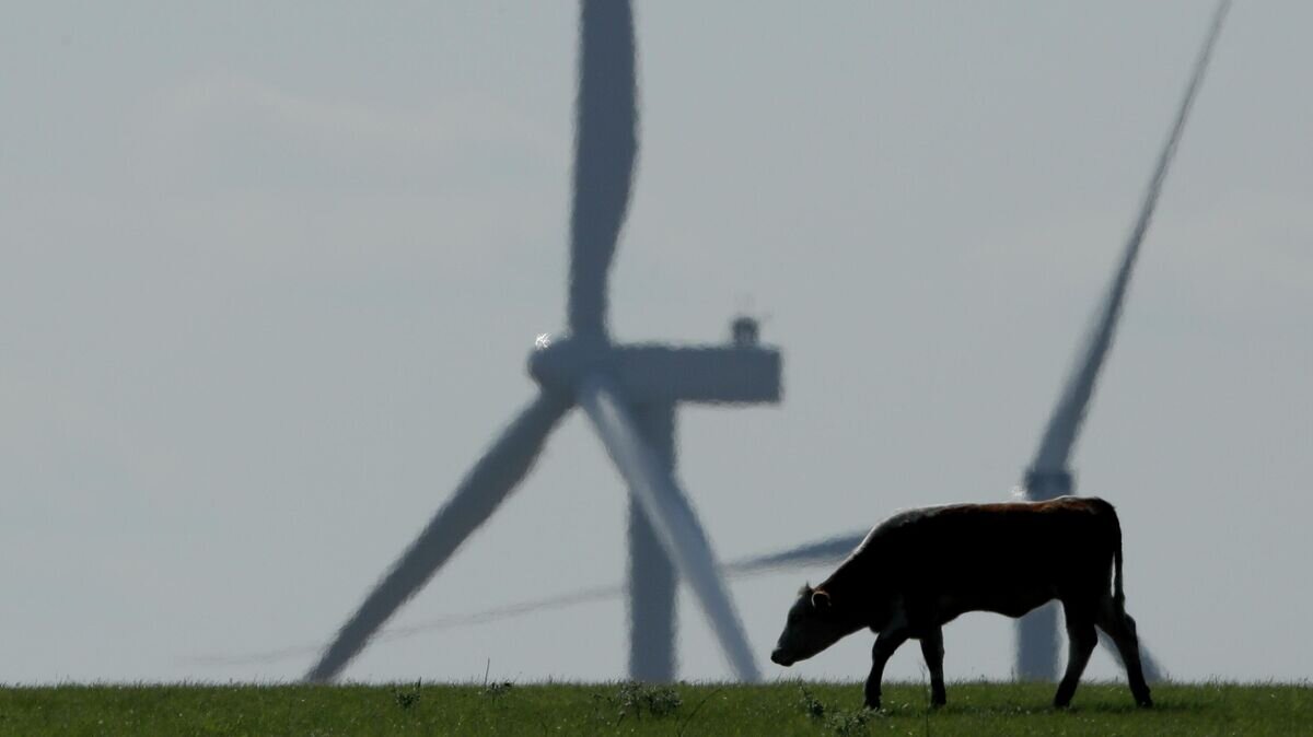    Корова пасется на одном из ранчо в штате Канзас, США© AP Photo / Charlie Riedel