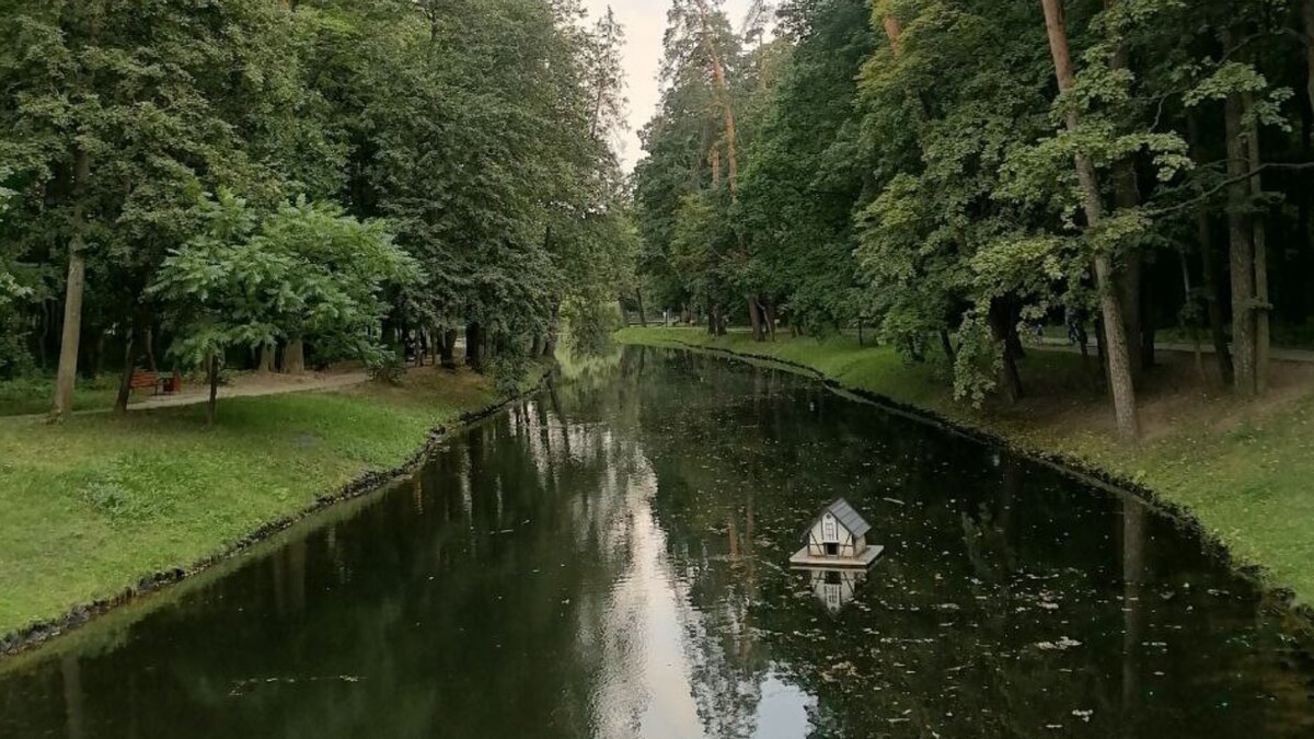 Погружение в красоту городского парка Красногорска | Красногорск | Дзен