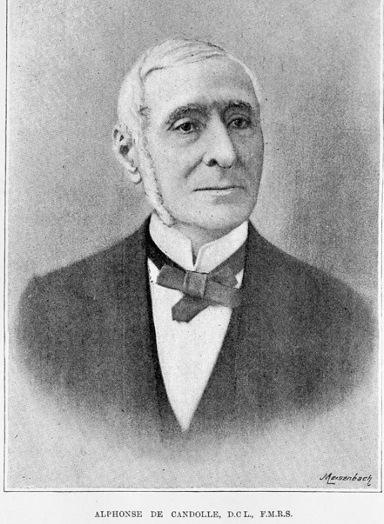 Альфонс Декандоль (1806-1893). Источник фото - https://sciencephotogallery.com/featured/alphonse-de-candolle-swiss-botanist-science-photo-library.html
