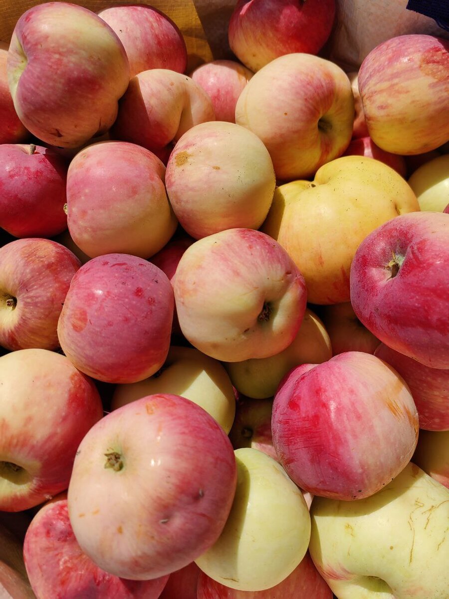 Те самые яблоки 