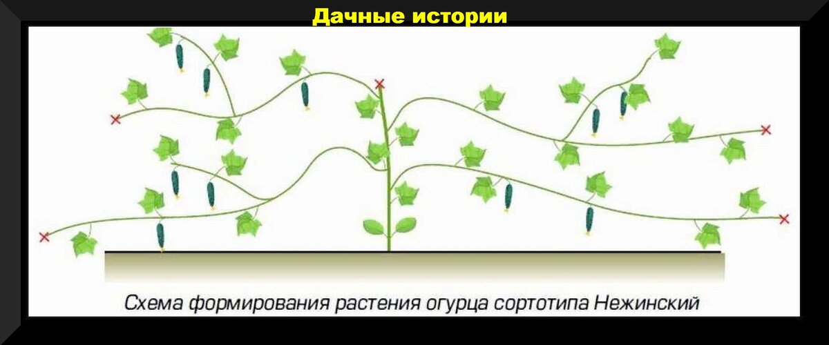 https://vk.com/photo-159774511_457261663