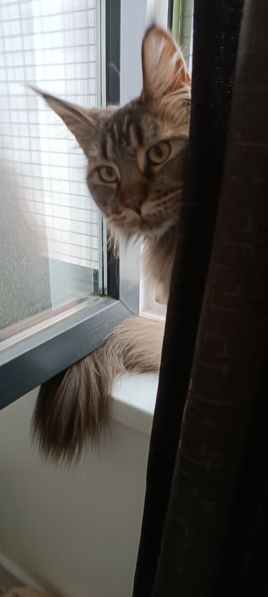 А это я. Смотрю на Туну, шипеть хочу
