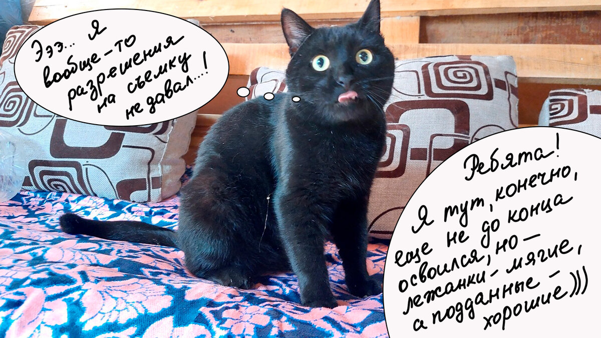 Барон Маврик ))) Стесняется немного ))) | Все фотографии в тексте — собственность канала