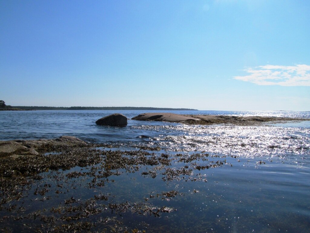 Устье белого моря