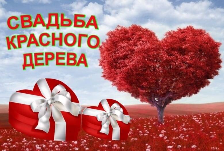 картинка из интернета