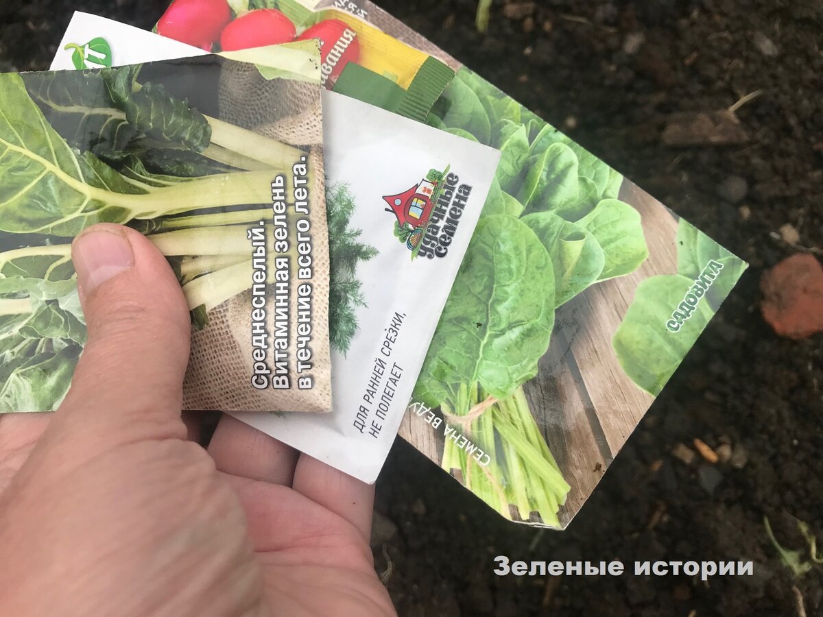 Запасы семян расчехлила