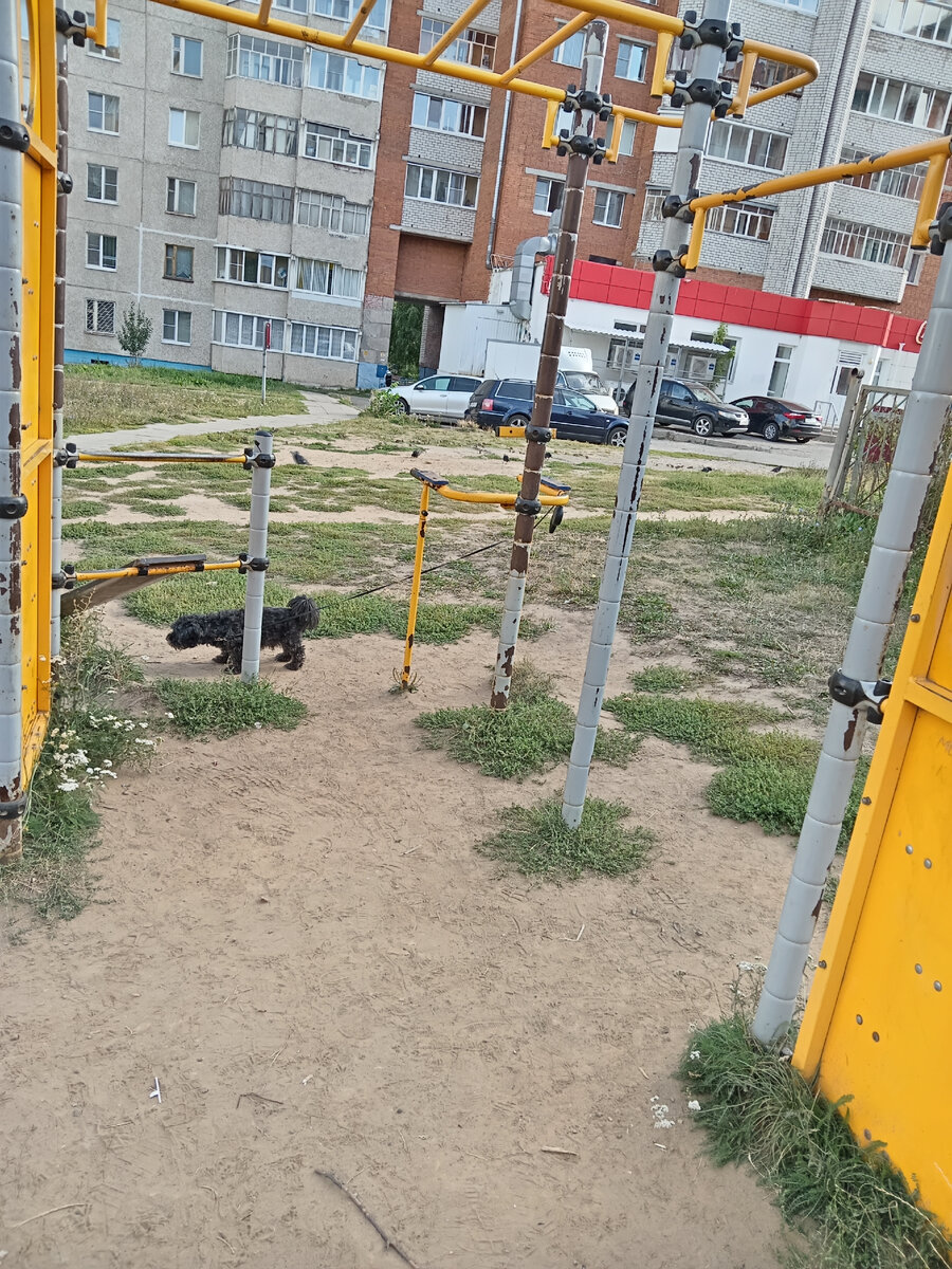 Вот тут и занимаемся