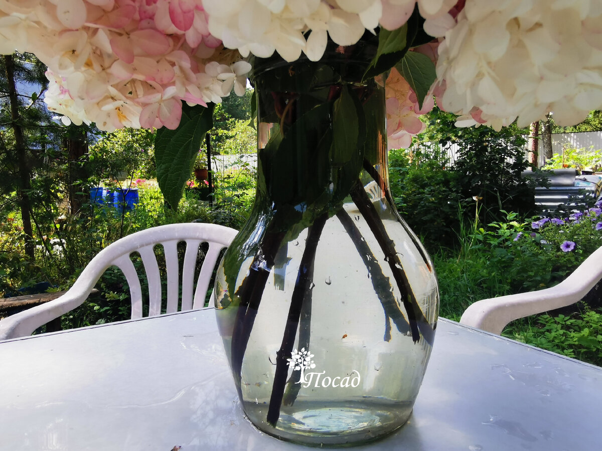 Крынка как на картине Герасимова. 