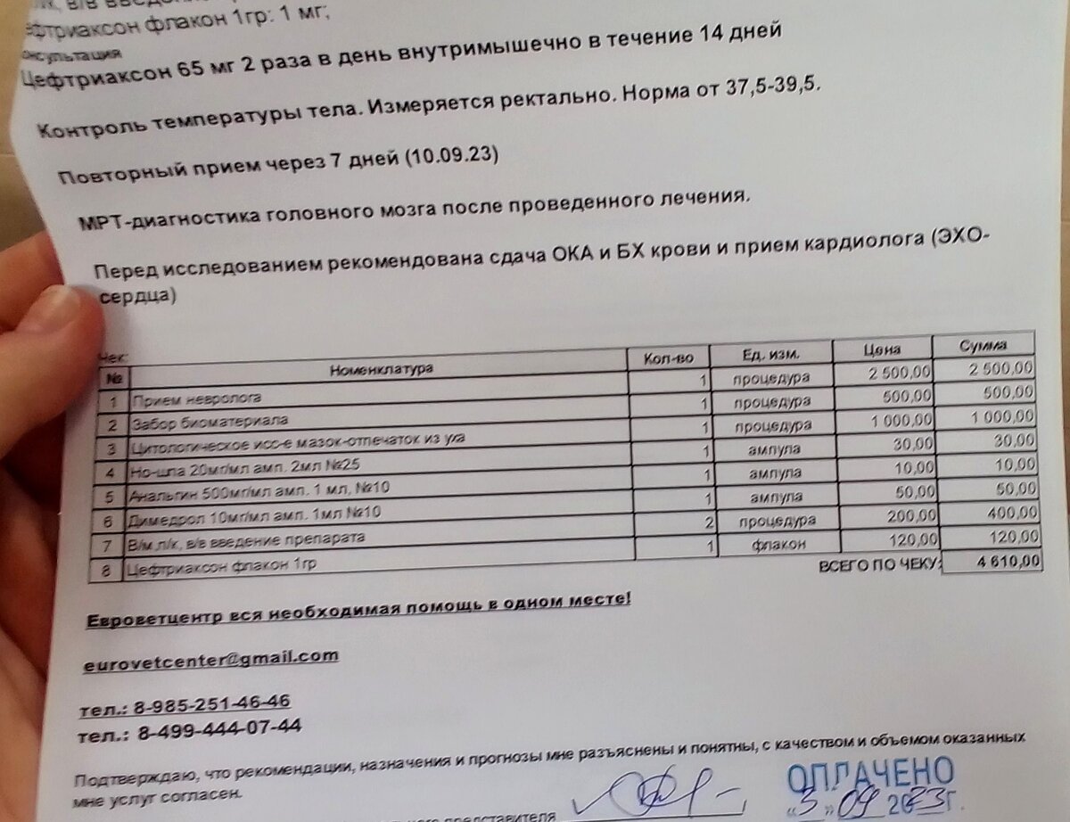 Чек и назначения за сегодня