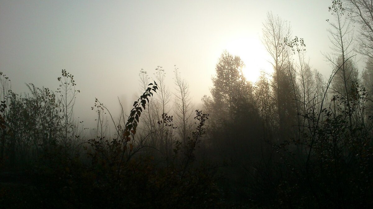 Фото из личного архива