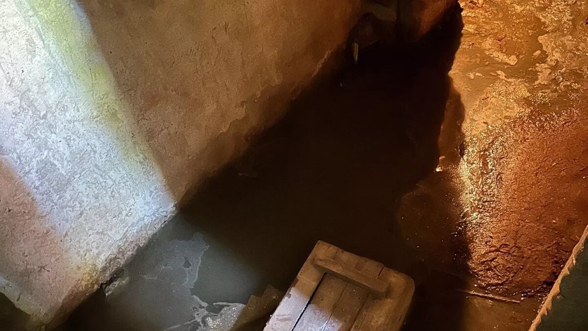     Жители многоквартирного дома в Альметьевске мучаются от ужасного запаха, исходящего из подвала. Там порядка двух лет собираются фекалии. Об этом Inkazan рассказал местный житель.