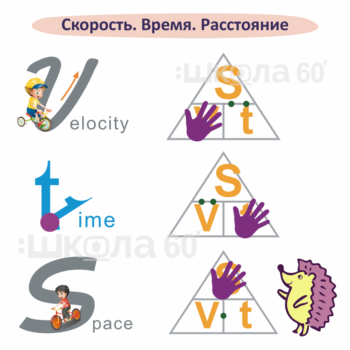 Звезды созвездия Треугольник