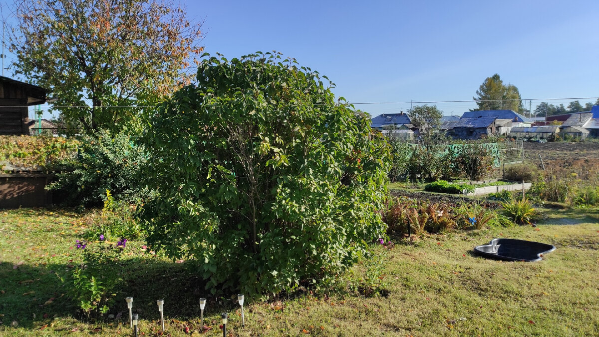 В одном краю усадьбы может быть всё зелено. Фото: Кирилл Полиенко/Polienko: путешествуем вдвоём