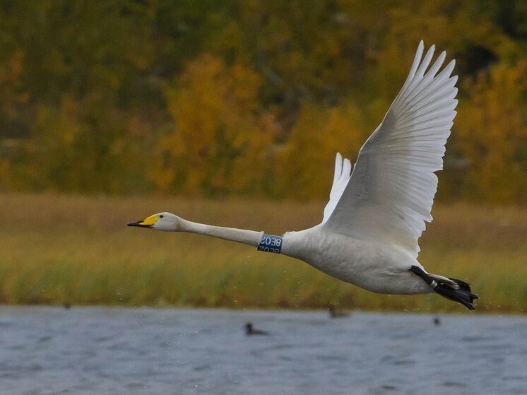 ФОТО ОЛЕГ КУЛЯБИН 