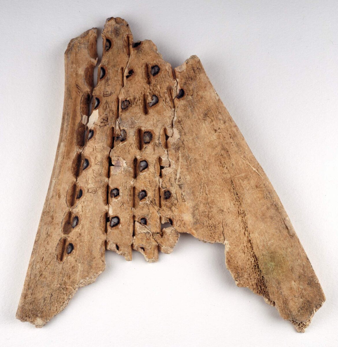 Гадательные кости эпохи шан и эпохи цинь. Когда говорят о гадательных костях в Китае имеют ввиду непосредственно кости. Чаще всего использовалась бычья лопатка.