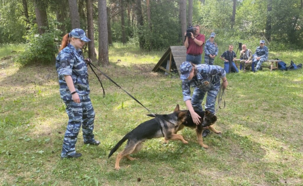 кинологическая служба полиции мвд россии. эксперт кинолог. работа кинологом отзывы. кинологи. собаки кинологической службы.