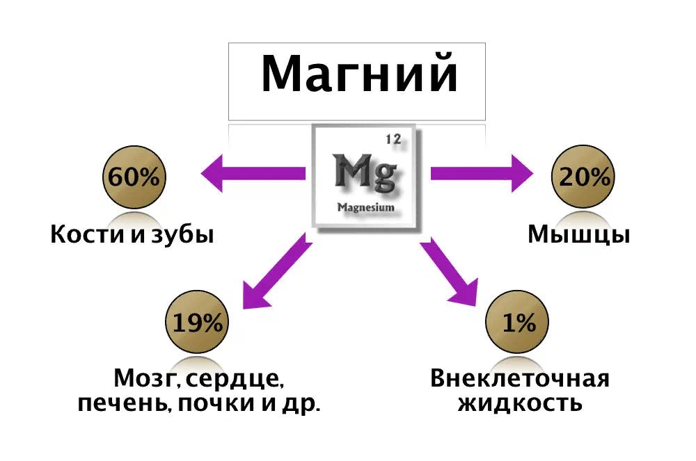 Количество магния в воде