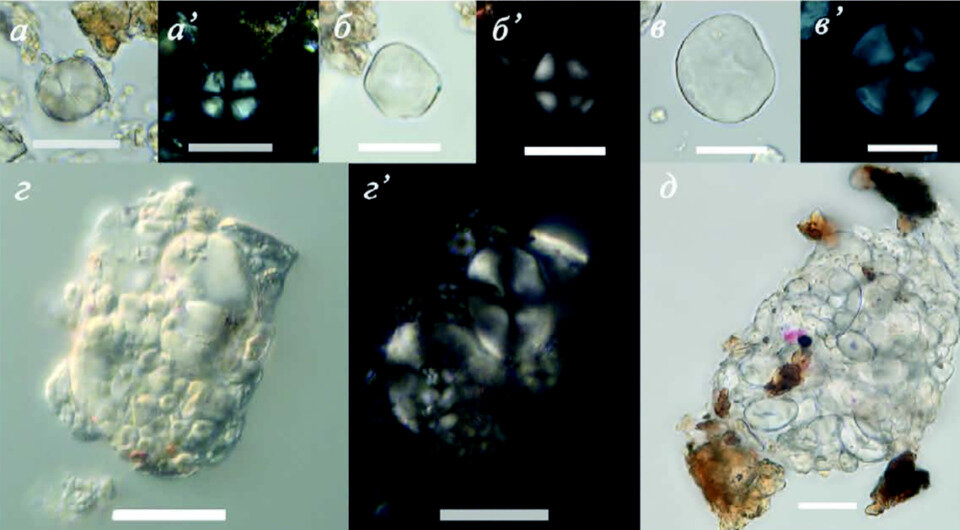   Ирина Пантюхина и Юрий Вострецов / Краткие сообщения Института археологии, 2023