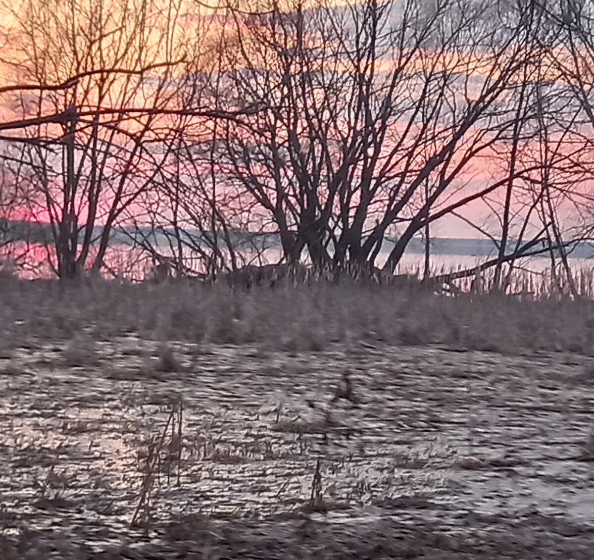Он не выбрал меня, потому что я из Захолустья | Бедная принцесса из ...