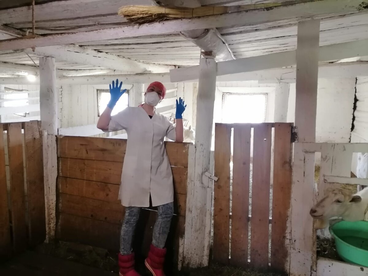 Обработку помещений проводим в отсутствие животных