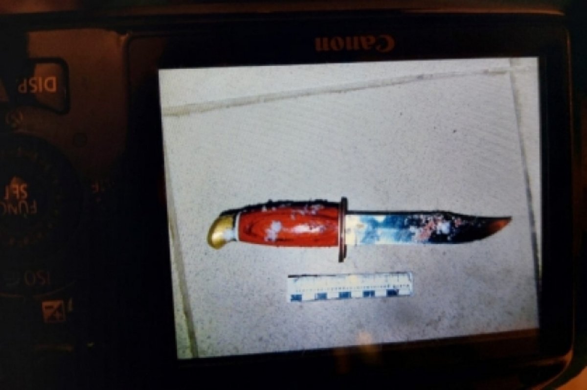    Чебоксарец получил срок за смертельный удар ножом в ногу сожительницы