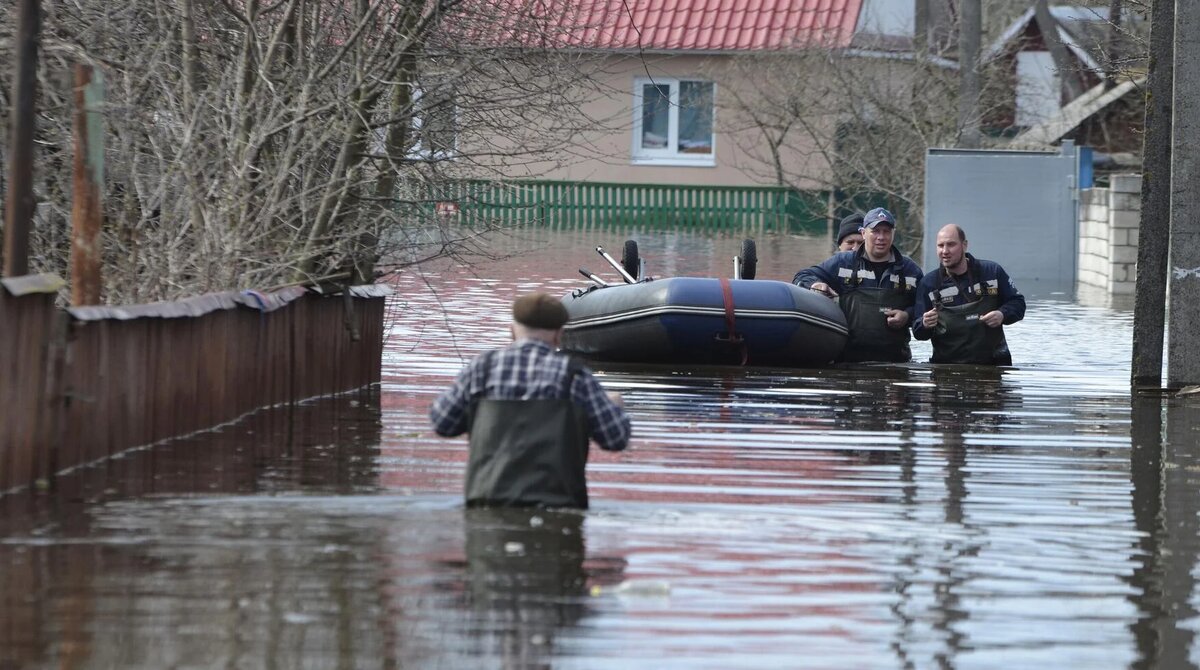 Большая вода прошла в Беларусь. В который раз — внезапно. | Petitions.by |  Дзен