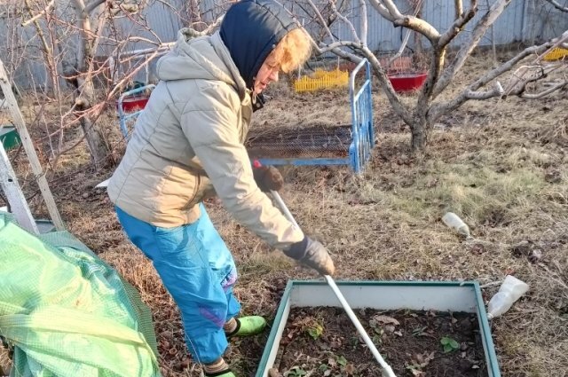    За что и как могут отобрать садовый, дачный или огородный участок?