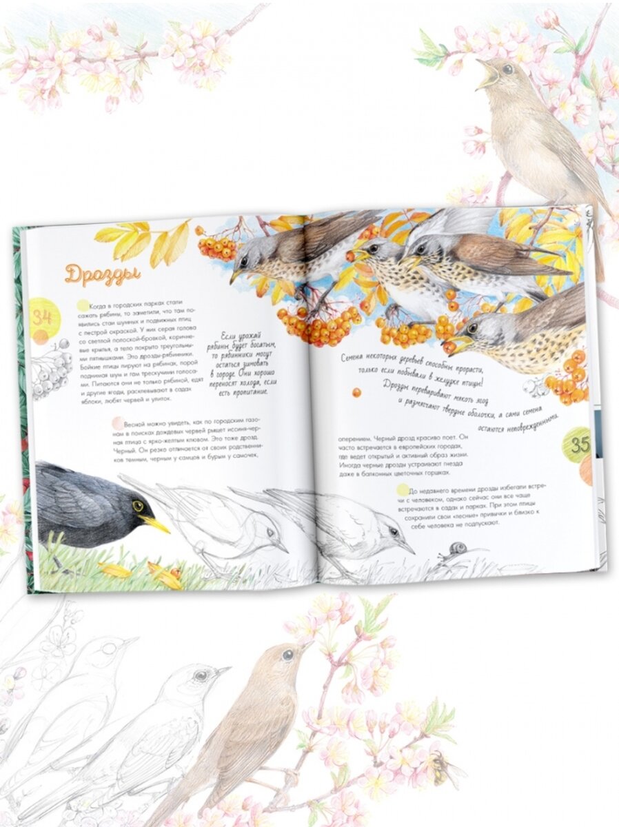 Художник Наталья Габеева 