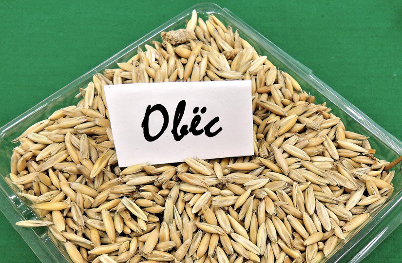 Фото: pxhere.com 