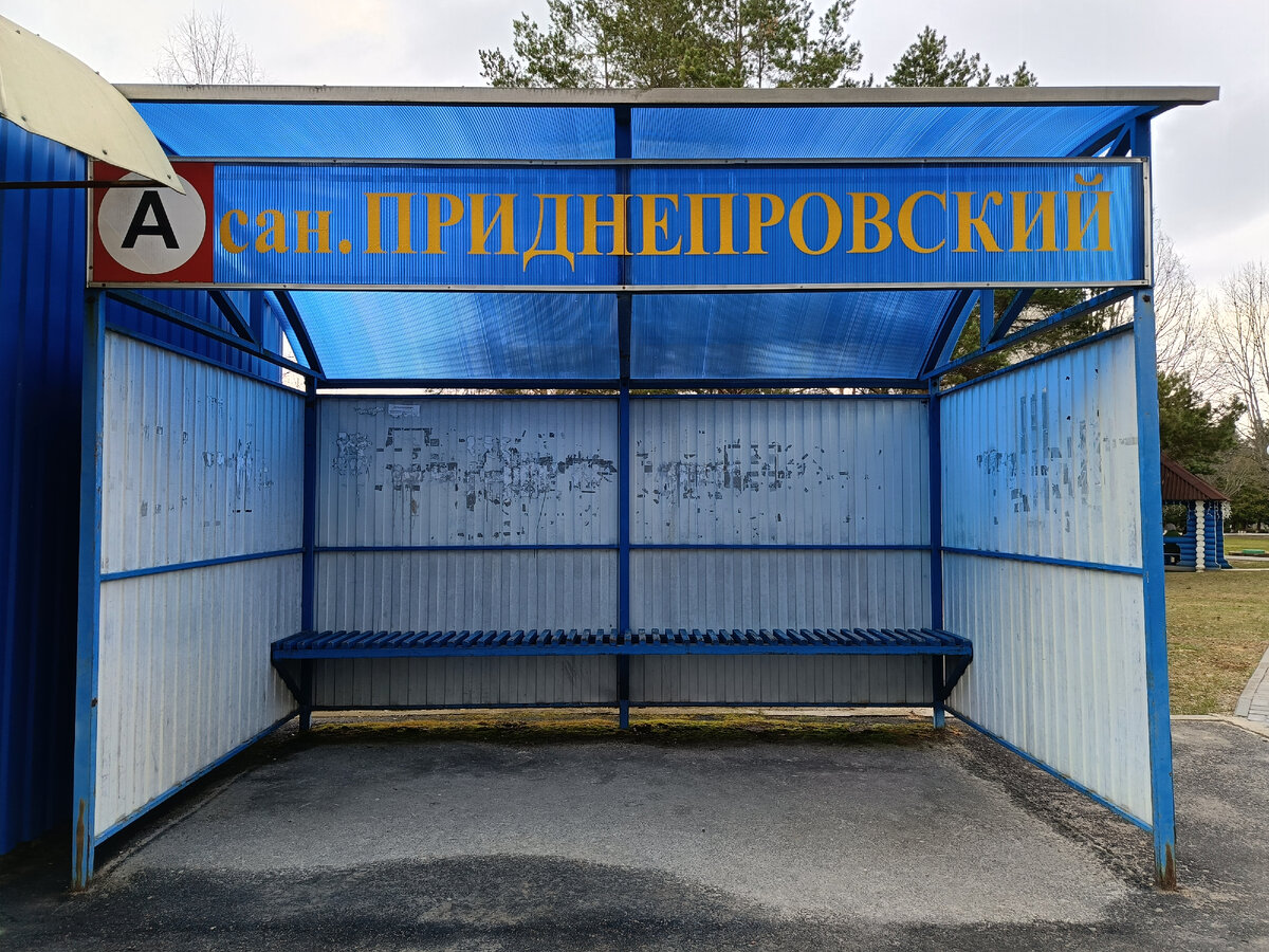 Фото автора статьи. 