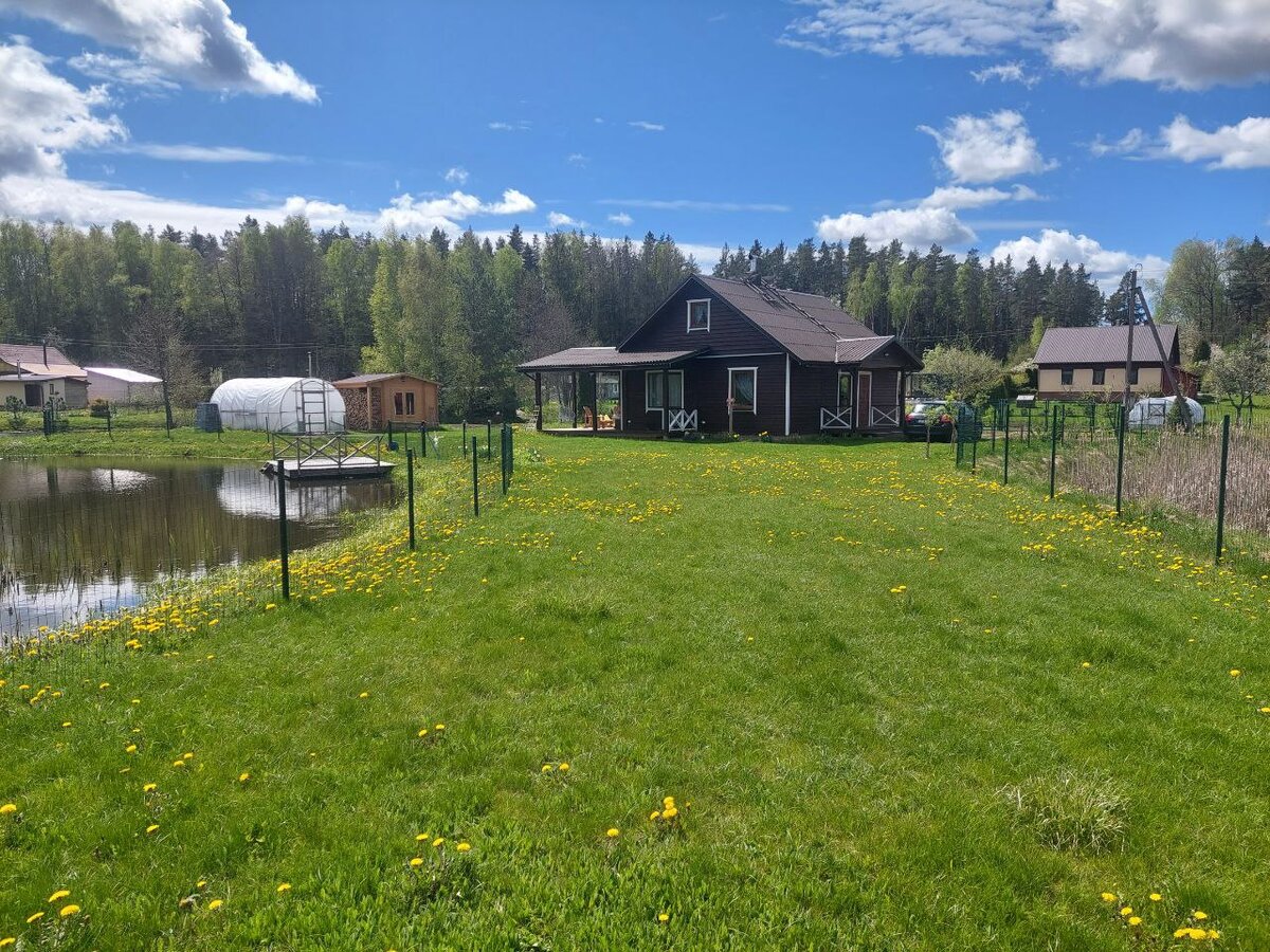 Красивый участок подписчицы Дачного агронома 