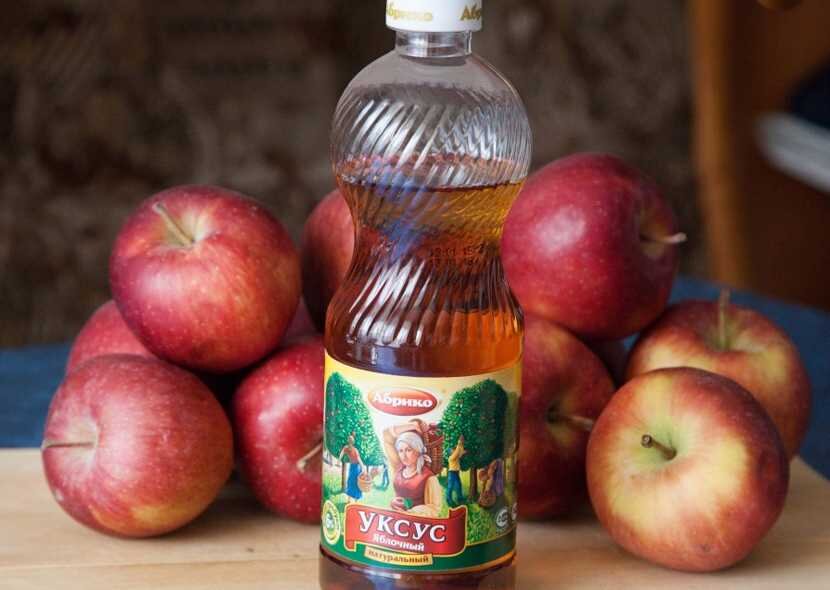 Фото: elenaportnova.ru