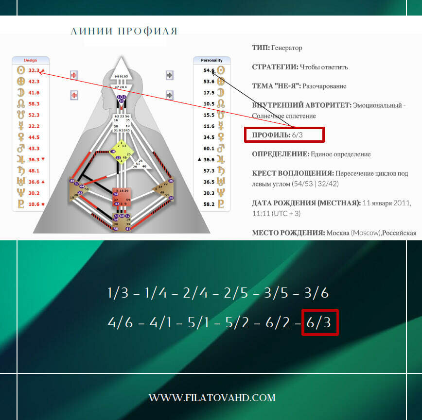 Профили и линии в Бодиграфе