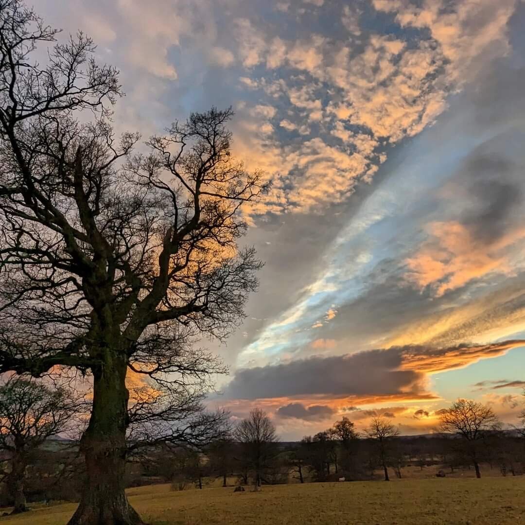 Фото Андрея Ложкина