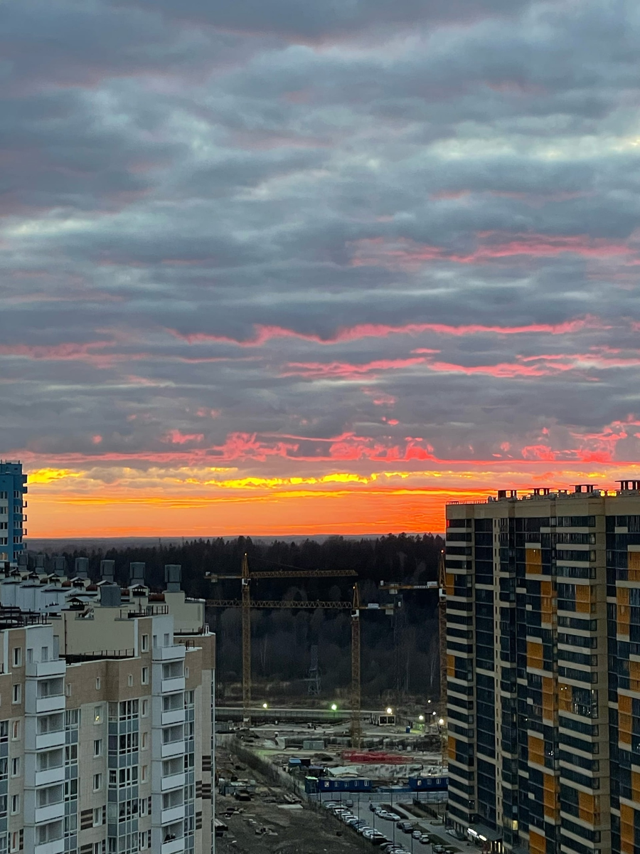 Арабская ночь