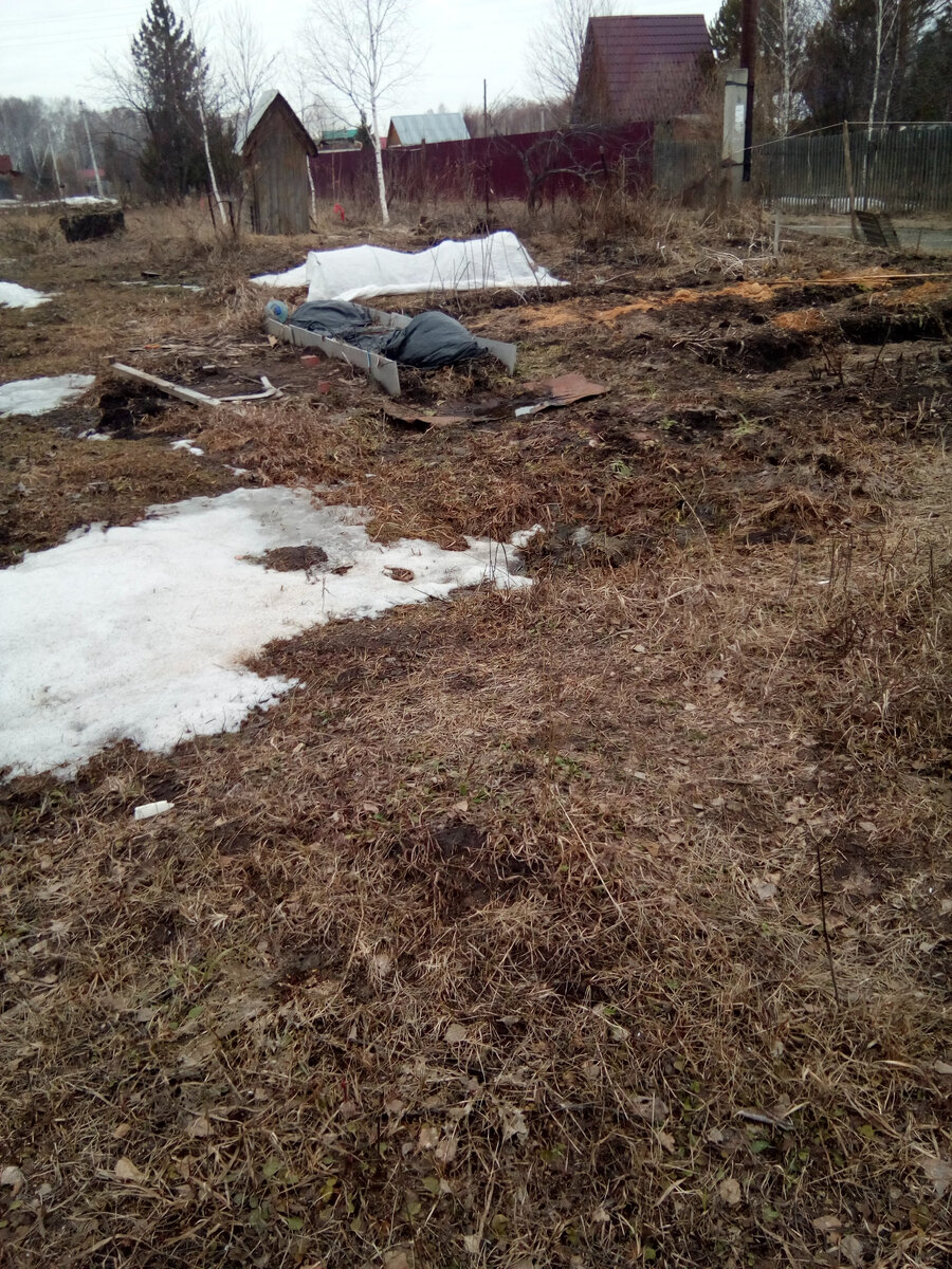 Где снег? Где?