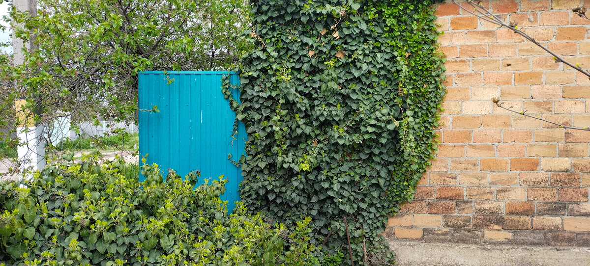 Милый глазу уголок!