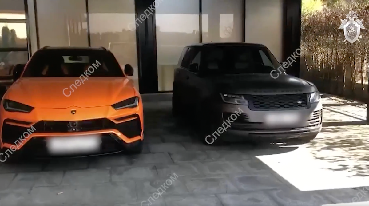 Обыски в доме Елены Блиновской