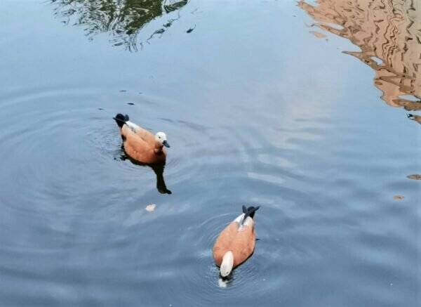    Фото: Никита Чудин. UG.RU