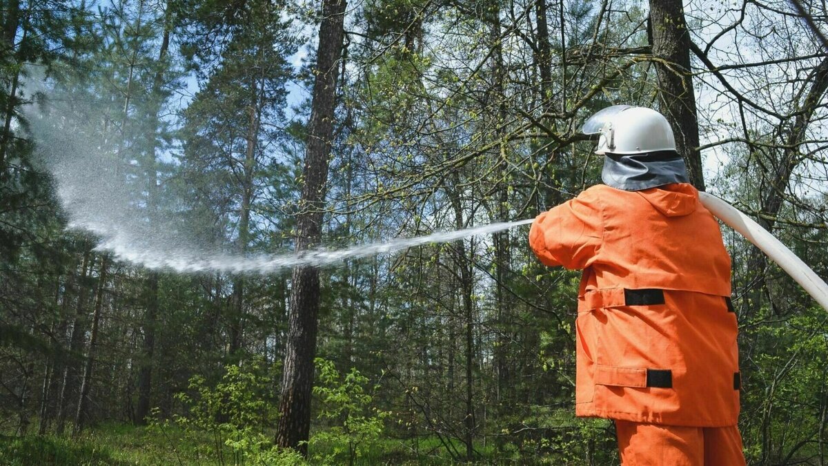     В Волгоградской области к началу мая выросла вероятность возникновения пожаров. Особенно высок риск на севере региона и в двух южных районах.