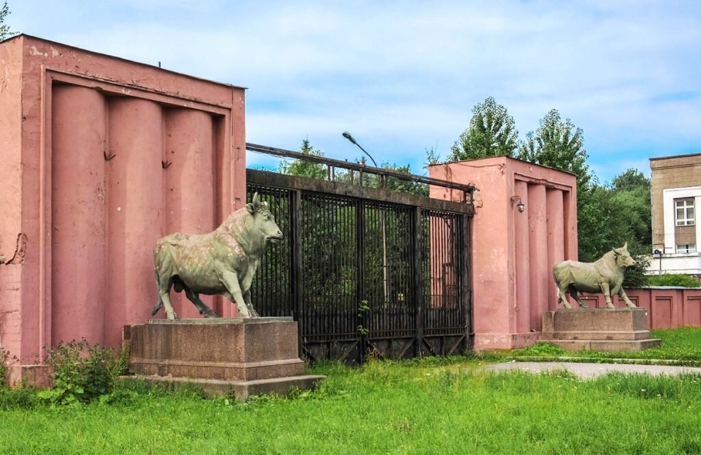 Так ещё недавно выглядели старинные быки у проходной бывшего мясокомбината